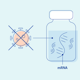 test image mRNA