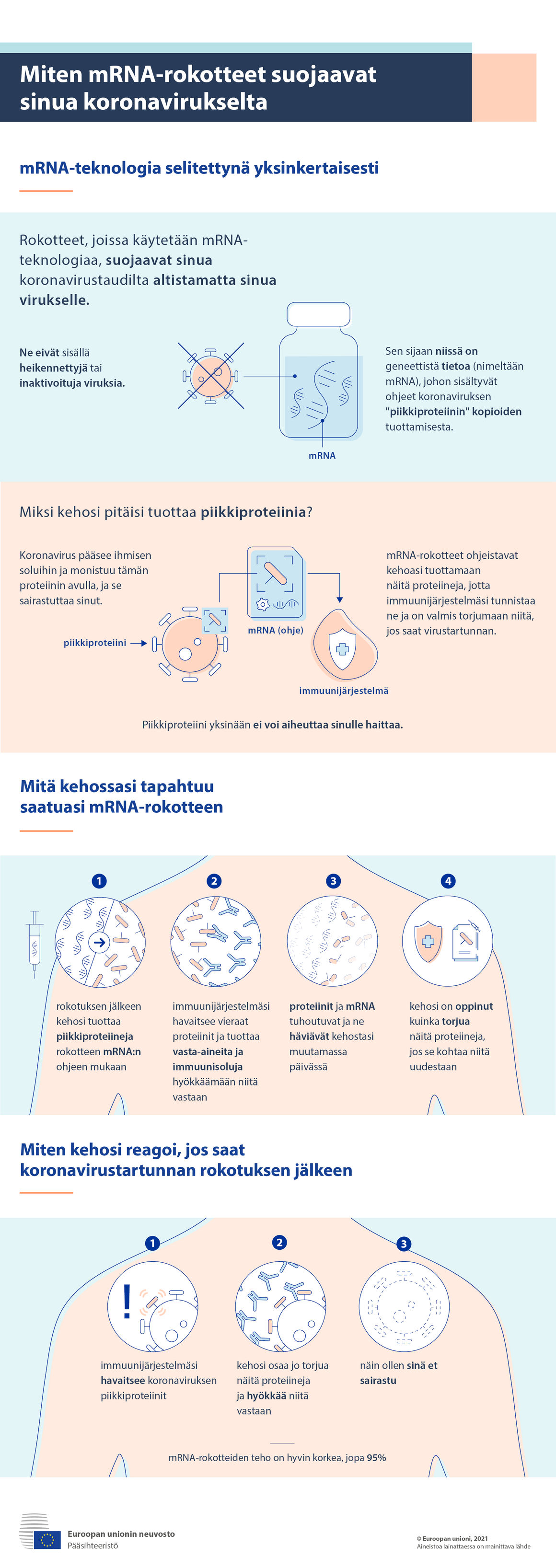 Infograafi: Näin mRNA-rokotteet suojaavat sinua koronavirukselta