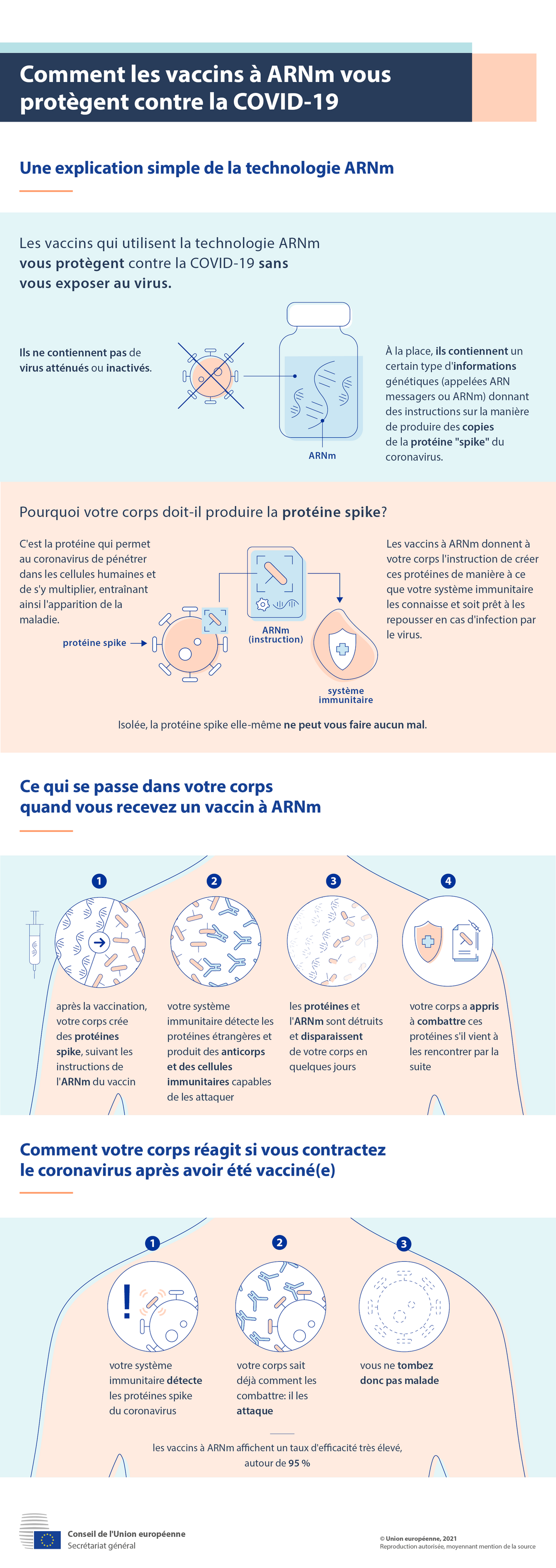 Infographie: Comment les vaccins à ARNm vous protègent contre la COVID-19