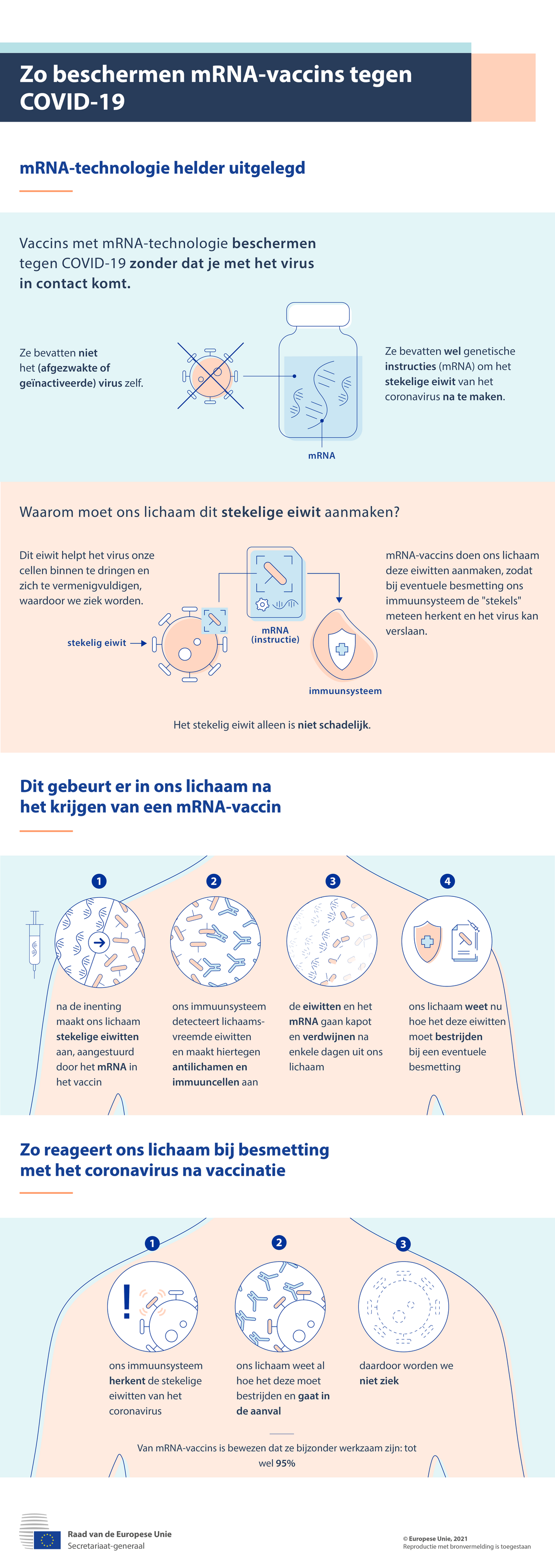 Infographic: zo bieden mRNA-vaccins bescherming tegen COVID-19