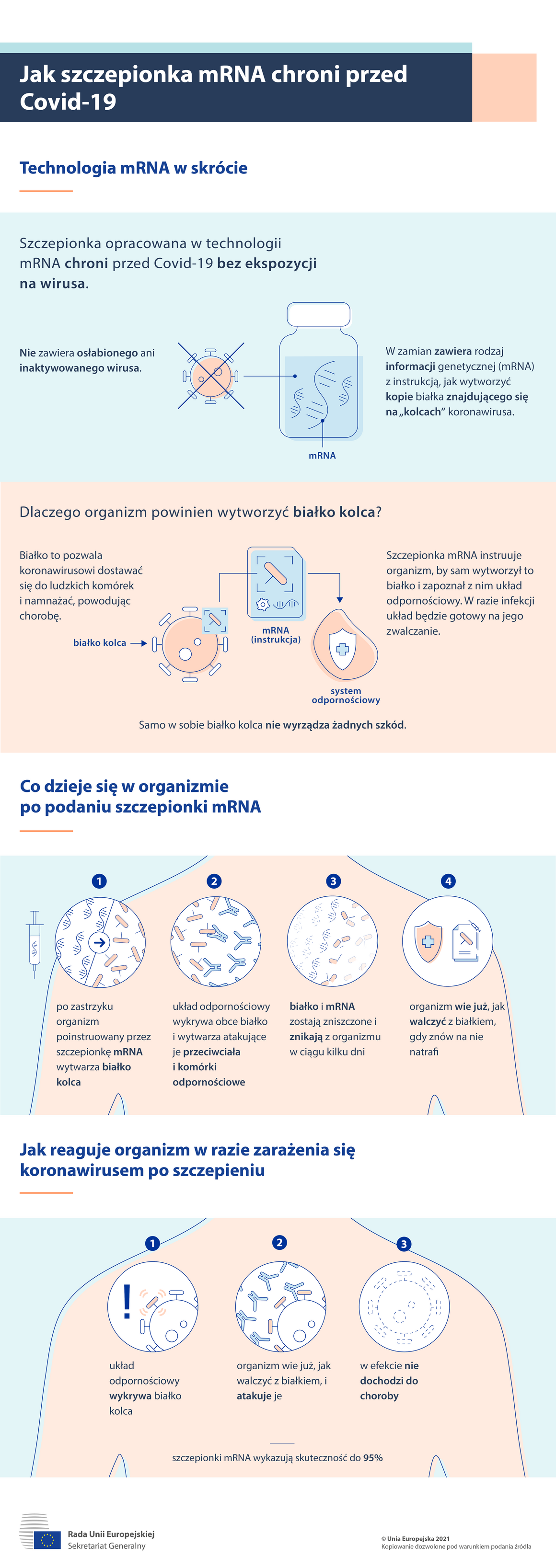 Infografika: Jak szczepionki mRNA chronią przed COVID-19