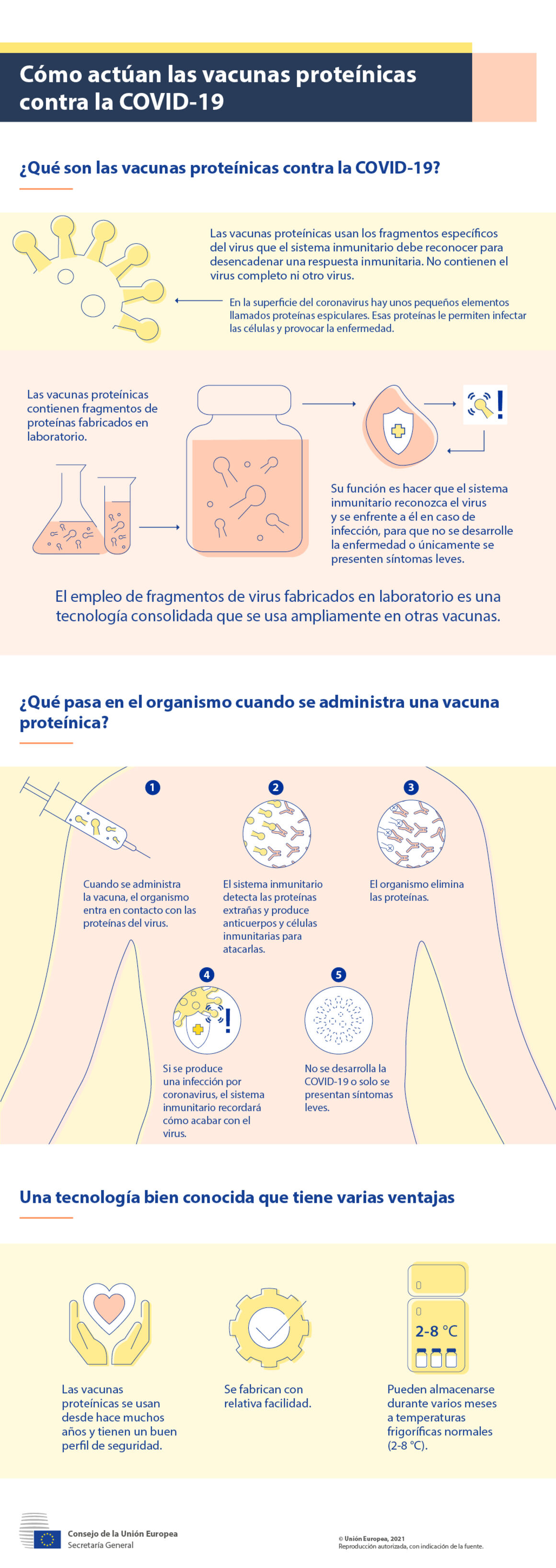 Infografía - Cómo actúan las vacunas proteínicas contra la COVID-19