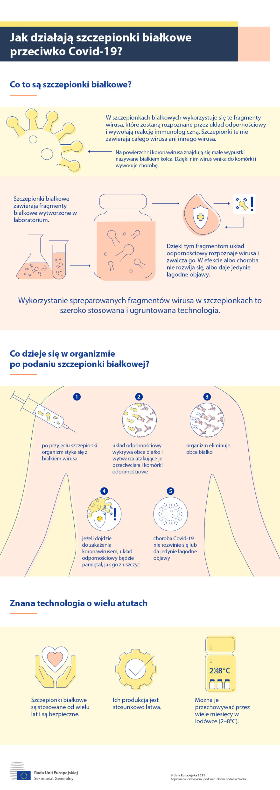 Jak działają szczepionki białkowe przeciwko Covid-19? – infografika