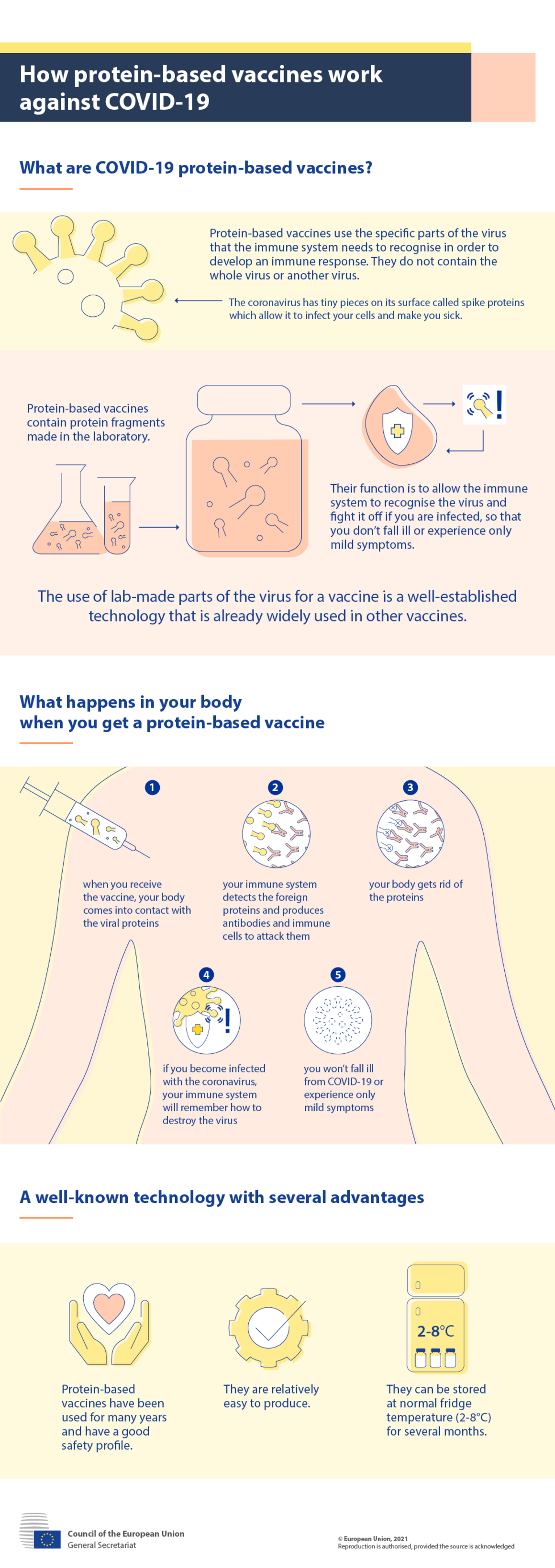 Infographic: How protein-based vaccines work against COVID-19