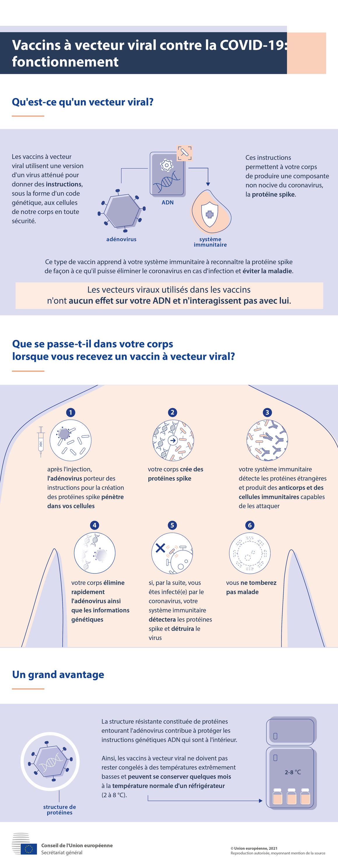 Infographie - Les vaccins à vecteur viral contre la COVID-19: comment fonctionnent-ils?