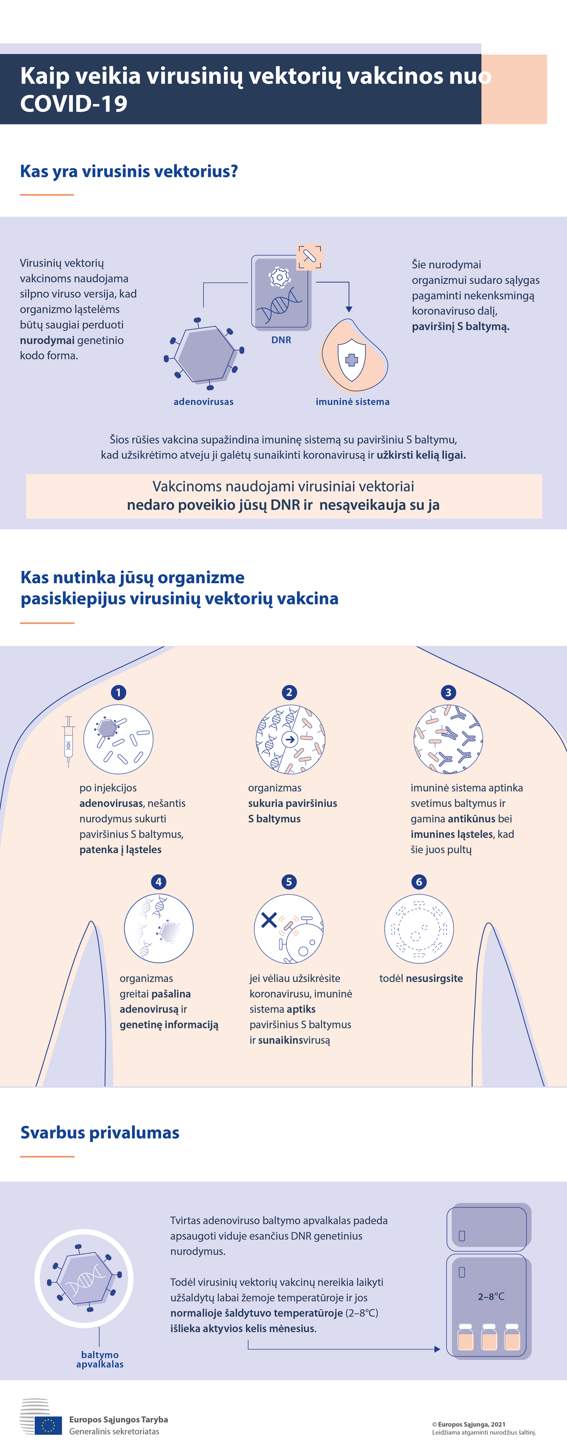 Infografikas. Virusinių vektorių vakcinos nuo COVID-19: kaip jos veikia